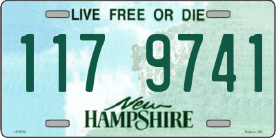 NH license plate 1179741