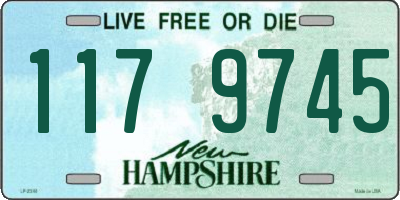 NH license plate 1179745