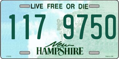 NH license plate 1179750