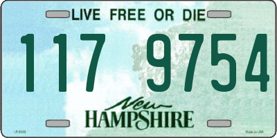NH license plate 1179754