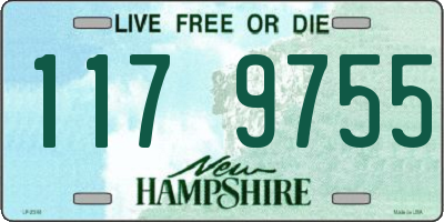 NH license plate 1179755