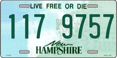 NH license plate 1179757