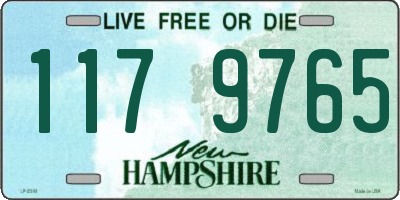 NH license plate 1179765