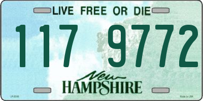 NH license plate 1179772