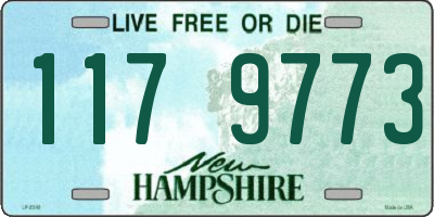 NH license plate 1179773