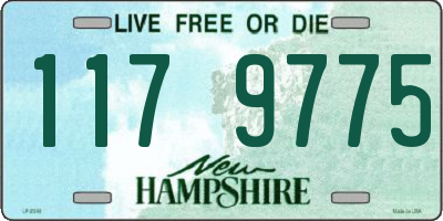 NH license plate 1179775