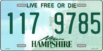 NH license plate 1179785