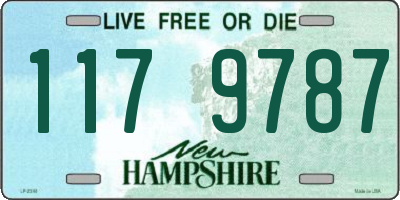 NH license plate 1179787