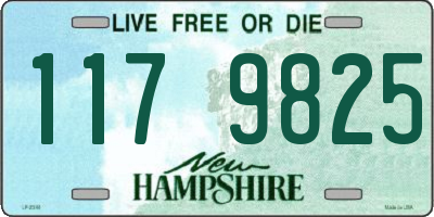NH license plate 1179825