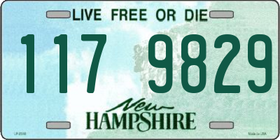 NH license plate 1179829