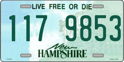 NH license plate 1179853