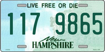 NH license plate 1179865