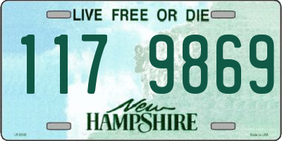 NH license plate 1179869