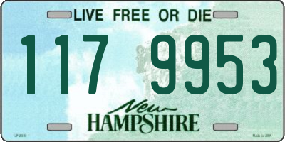 NH license plate 1179953