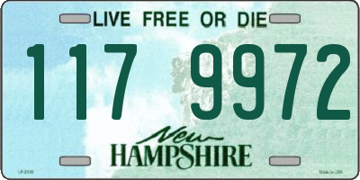 NH license plate 1179972