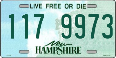 NH license plate 1179973