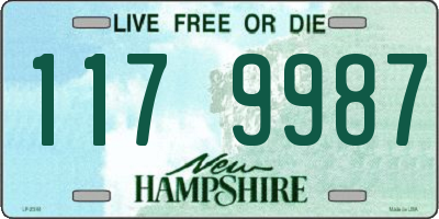 NH license plate 1179987