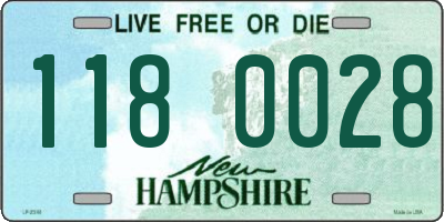 NH license plate 1180028