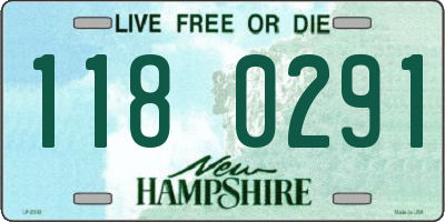 NH license plate 1180291