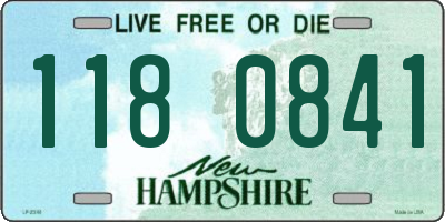 NH license plate 1180841
