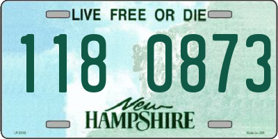 NH license plate 1180873