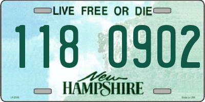 NH license plate 1180902