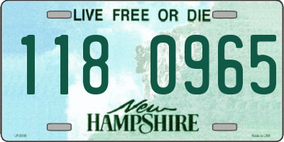 NH license plate 1180965