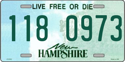 NH license plate 1180973