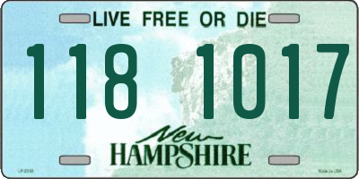 NH license plate 1181017