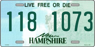 NH license plate 1181073