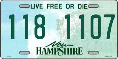 NH license plate 1181107