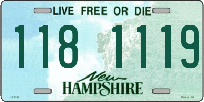 NH license plate 1181119