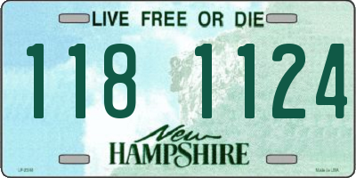 NH license plate 1181124