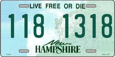 NH license plate 1181318
