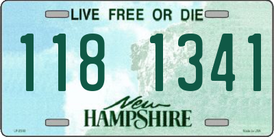 NH license plate 1181341