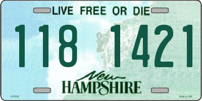 NH license plate 1181421