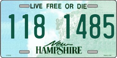 NH license plate 1181485