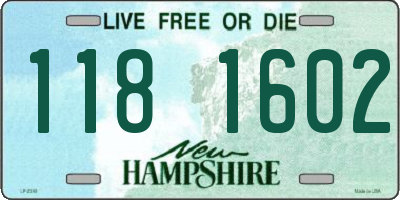 NH license plate 1181602