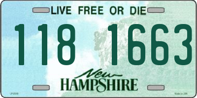 NH license plate 1181663