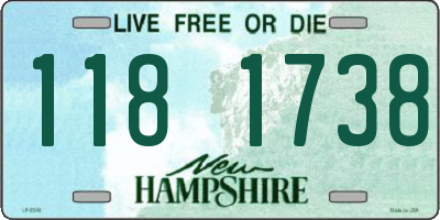 NH license plate 1181738