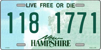 NH license plate 1181771