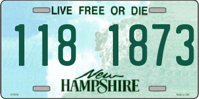 NH license plate 1181873
