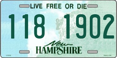 NH license plate 1181902
