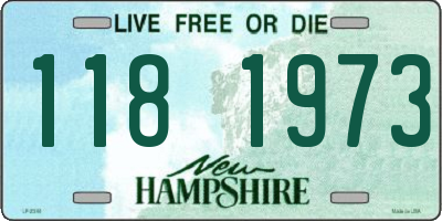 NH license plate 1181973
