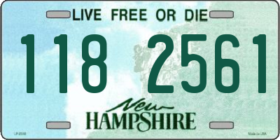 NH license plate 1182561