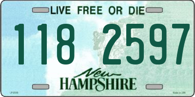 NH license plate 1182597