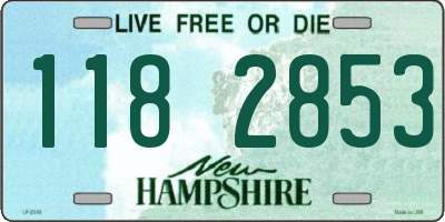 NH license plate 1182853