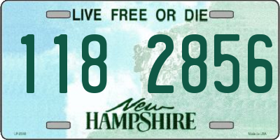 NH license plate 1182856