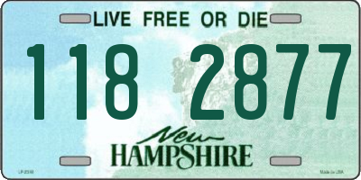 NH license plate 1182877