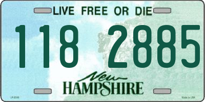 NH license plate 1182885